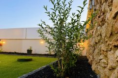 אחוזת מנות בוטיק 27