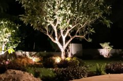 סאני קוסטאל וילה 32