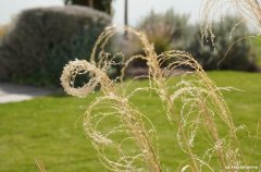 סאן ריזורט 62