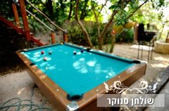 אחוזת אופיר 17