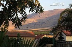אחוזת נוף גלילי 32