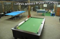 וילה אביגיל 19