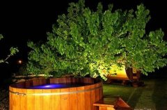 וילה villa 4 seasons 20