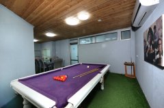 וילה הדבר האמיתי 9