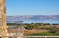 וילה מגדל 65