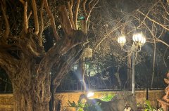 וילה De Caesarea 89