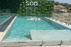Suite Of Dreams 8