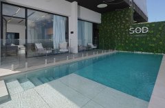 Suite Of Dreams 16