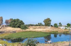 וילה אלפא 24